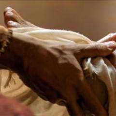 PERSONE CON TENDENZA OMOAFFETTIVA. LA CHIESA VEICOLO, FACILITATRICE E CUSTODE DELLA GRAZIA