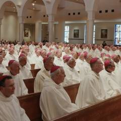 U.S. bishops consecrate nation to Sacred Heart of Jesus