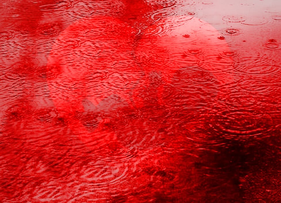 Aborto femminicidio credit by AZM