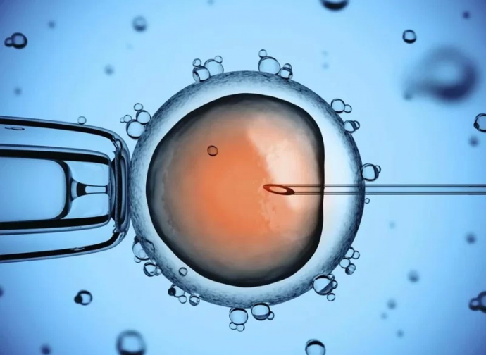 intracytoplasmic sperm injection wikimedia commons