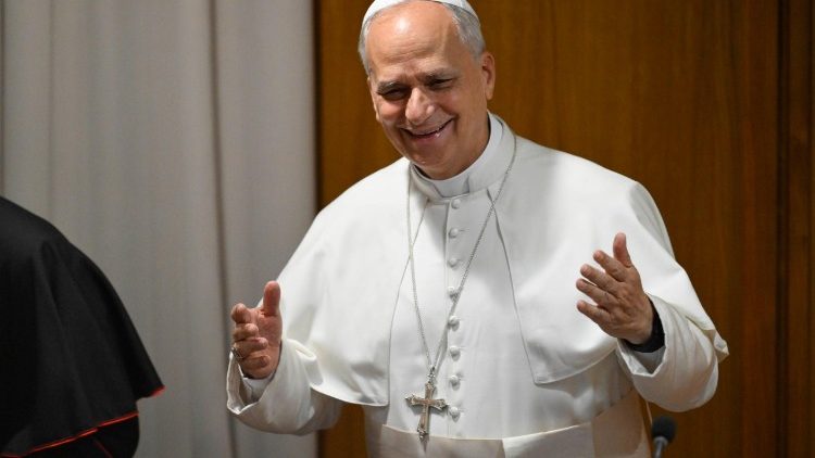 Pope Leo met with new Bishops vatican media