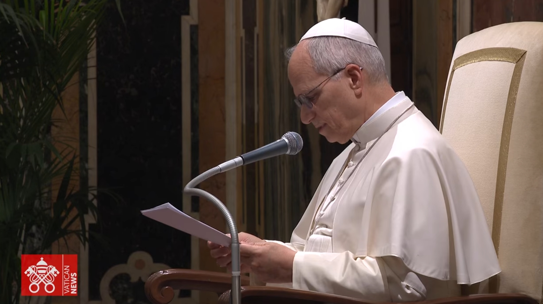 Udienza Papa Leone XIV capture video Vatican News