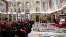 udienza amici dei focolari