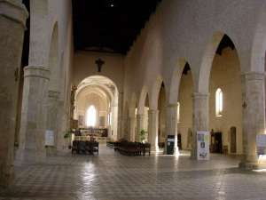 collemaggio2