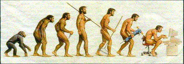 Evoluzione2