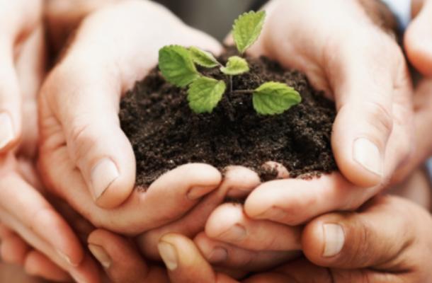 bene comune famiglia persona