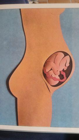 vita nuova