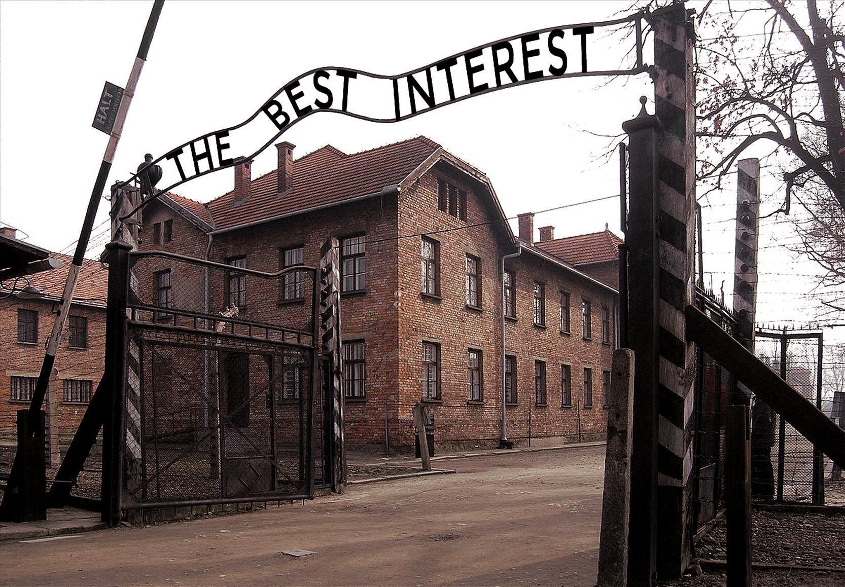 the best interest2