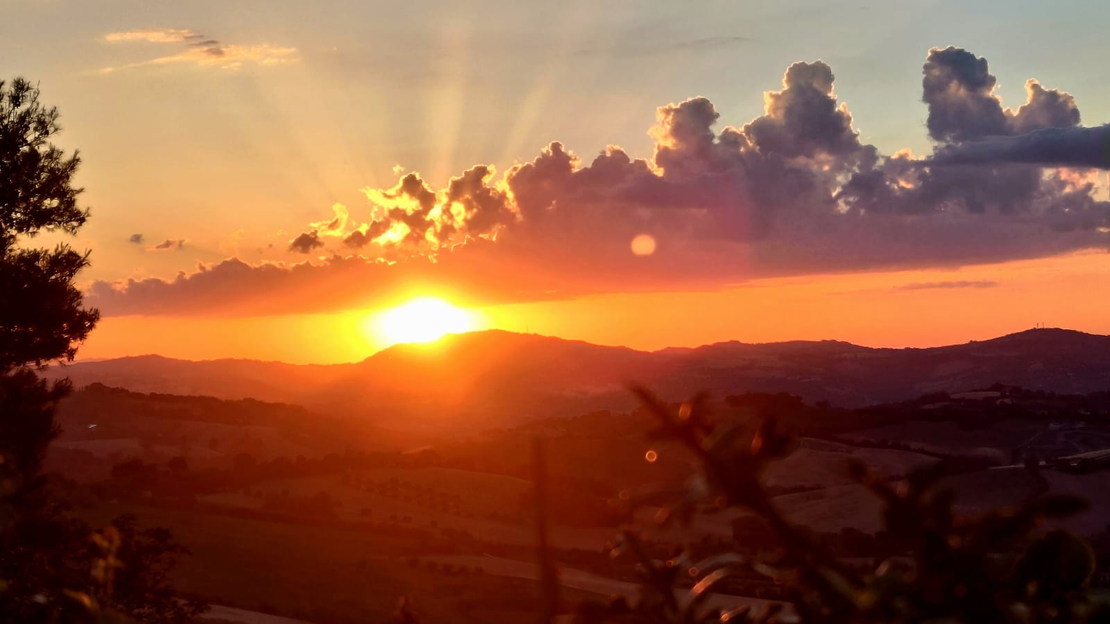 alba vita nuova