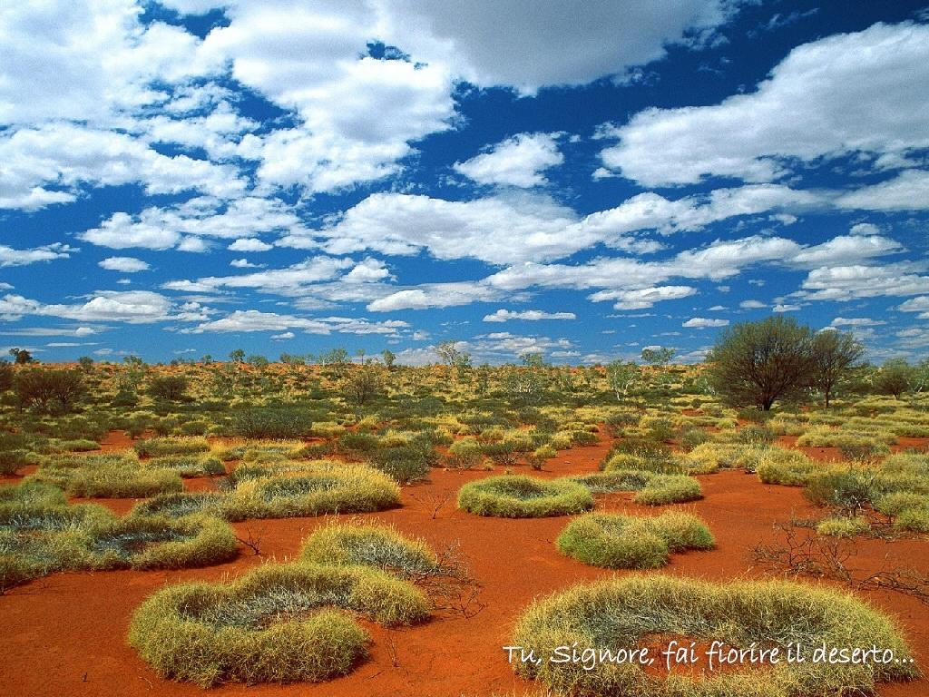 deserto
