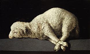 agnello sacrificale